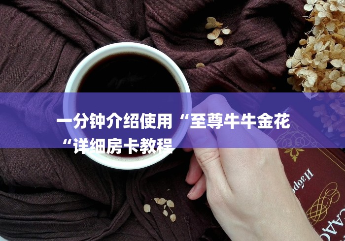 一分钟介绍使用“至尊牛牛金花
“详细房卡教程