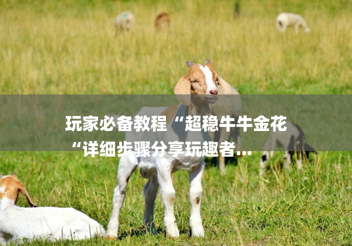 玩家必备教程“超稳牛牛金花
“详细步骤分享玩趣者...