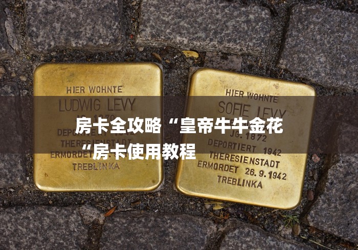 房卡全攻略“皇帝牛牛金花
“房卡使用教程