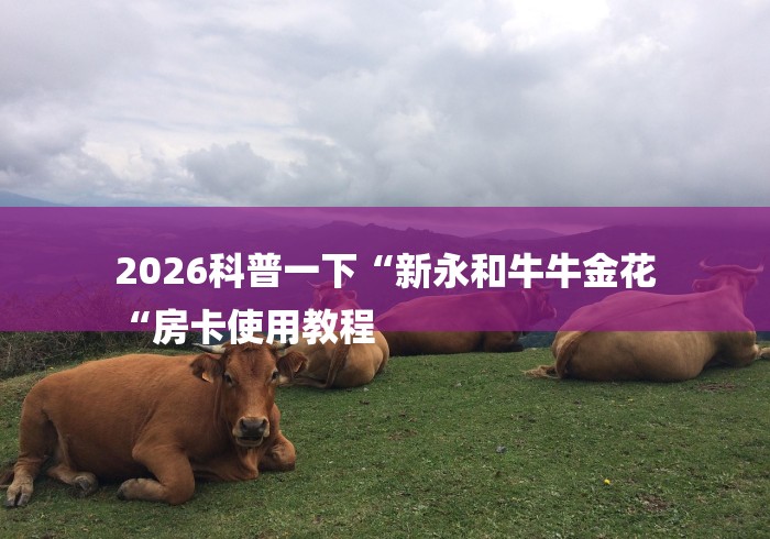 2026科普一下“新永和牛牛金花
“房卡使用教程