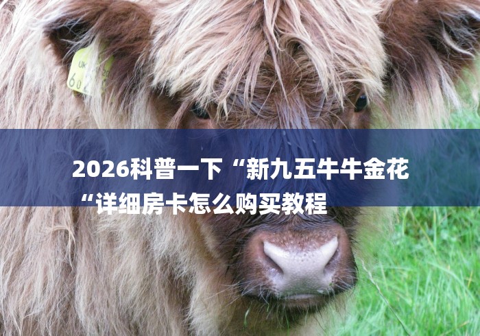 2026科普一下“新九五牛牛金花
“详细房卡怎么购买教程 2026科普一下“新九五牛牛金花
“详细房卡怎么购买教程