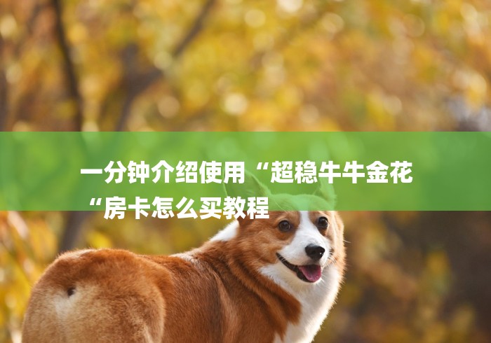 一分钟介绍使用“超稳牛牛金花
“房卡怎么买教程 一分钟介绍使用“超稳牛牛金花
“房卡怎么买教程