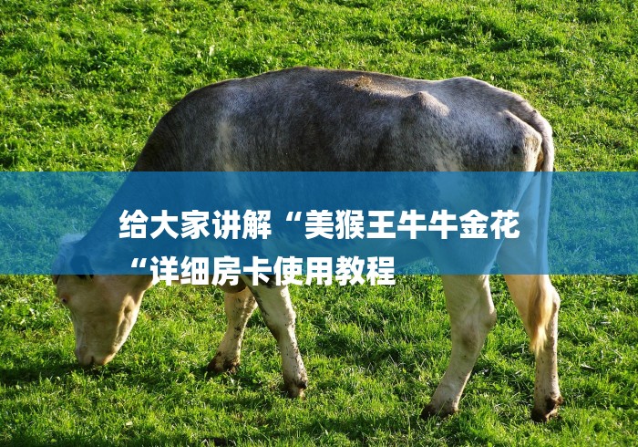 给大家讲解“美猴王牛牛金花
“详细房卡使用教程 给大家讲解“美猴王牛牛金花
“详细房卡使用教程