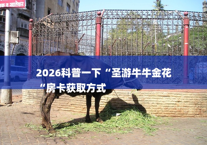 2026科普一下“圣游牛牛金花
“房卡获取方式 