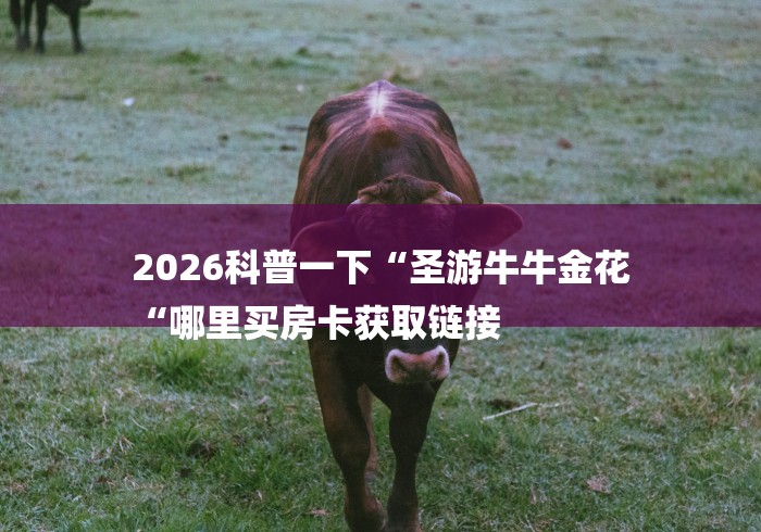 2026科普一下“圣游牛牛金花
“哪里买房卡获取链接