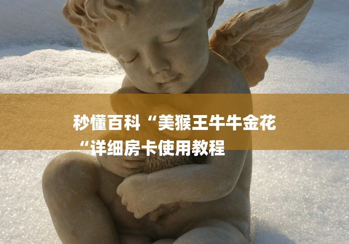 秒懂百科“美猴王牛牛金花
“详细房卡使用教程