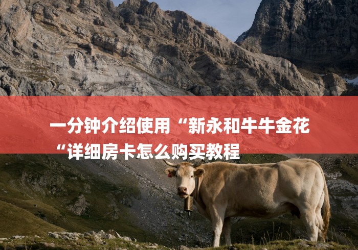 一分钟介绍使用“新永和牛牛金花
“详细房卡怎么购买教程
