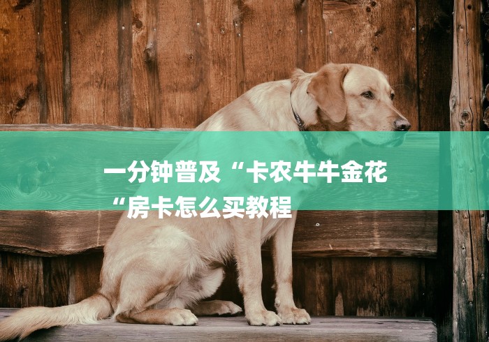 一分钟普及“卡农牛牛金花
“房卡怎么买教程 一分钟普及“卡农牛牛金花
“房卡怎么买教程