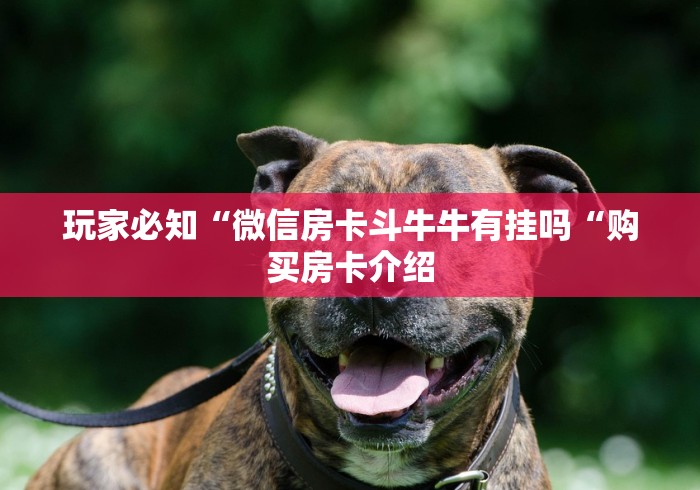 玩家必知“微信房卡斗牛牛有挂吗“购买房卡介绍 玩家必知“微信房卡斗牛牛有挂吗“购买房卡介绍