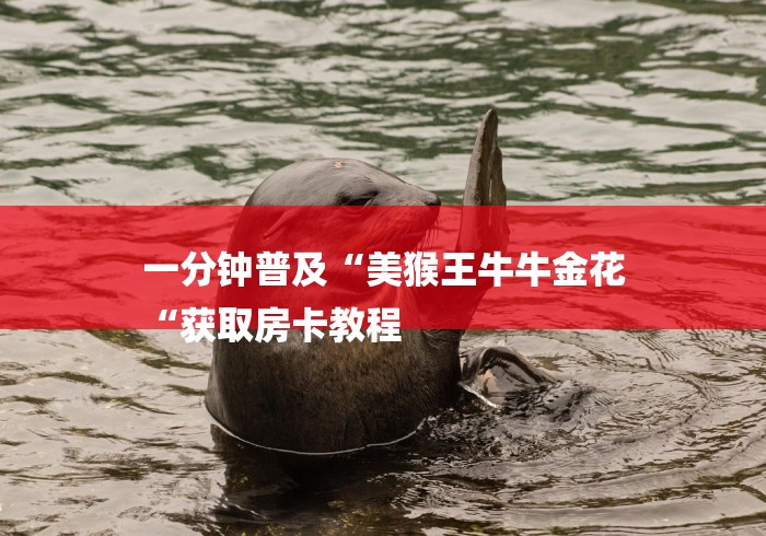 一分钟普及“美猴王牛牛金花
“获取房卡教程