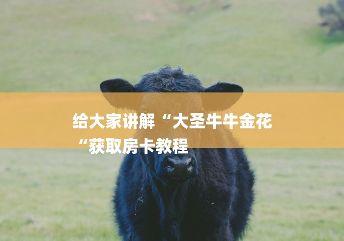 给大家讲解“大圣牛牛金花
“获取房卡教程