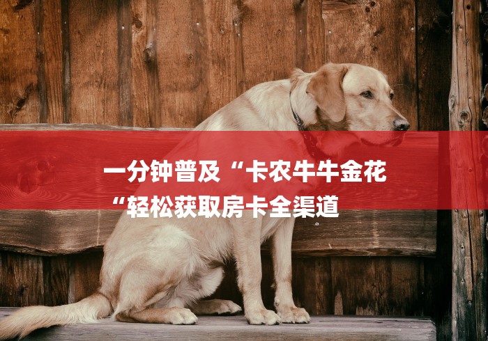 一分钟普及“卡农牛牛金花
“轻松获取房卡全渠道 一分钟普及“卡农牛牛金花
“轻松获取房卡全渠道