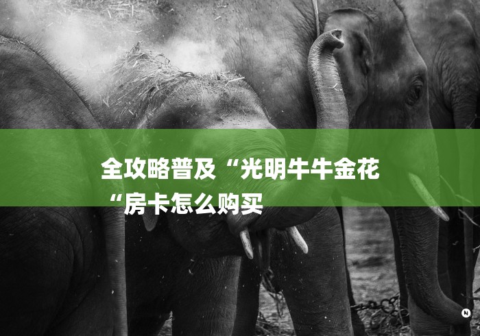 全攻略普及“光明牛牛金花
“房卡怎么购买