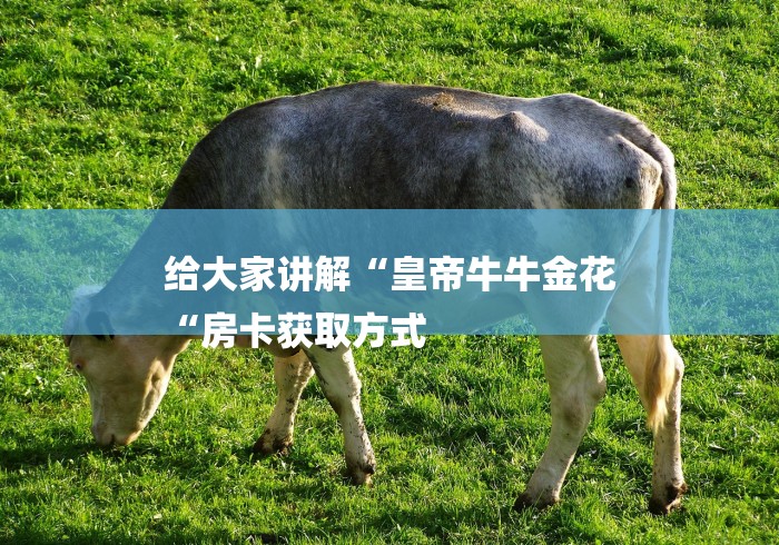 给大家讲解“皇帝牛牛金花
“房卡获取方式