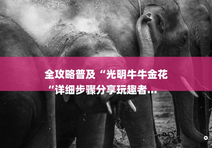 全攻略普及“光明牛牛金花
“详细步骤分享玩趣者...