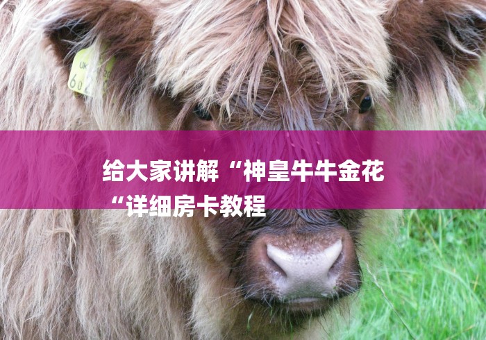 给大家讲解“神皇牛牛金花
“详细房卡教程