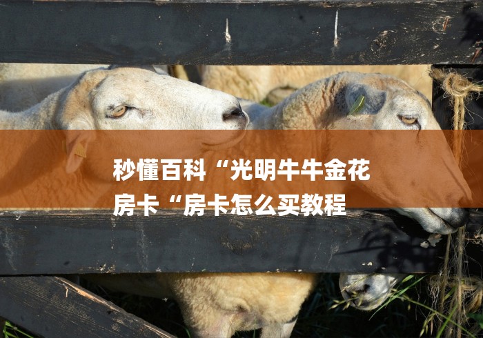 秒懂百科“光明牛牛金花
房卡“房卡怎么买教程 秒懂百科“光明牛牛金花
房卡“房卡怎么买教程