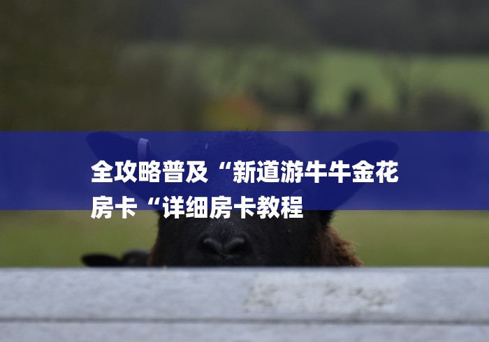 全攻略普及“新道游牛牛金花
房卡“详细房卡教程 全攻略普及“新道游牛牛金花
房卡“详细房卡教程