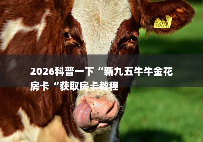 2026科普一下“新九五牛牛金花
房卡“获取房卡教程