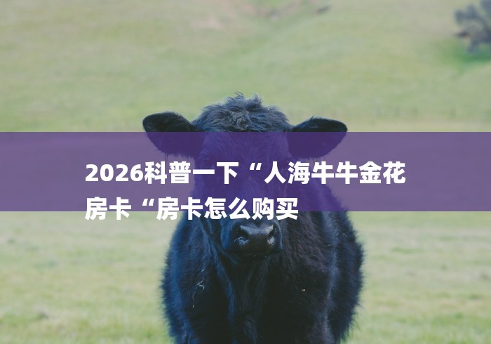 2026科普一下“人海牛牛金花
房卡“房卡怎么购买