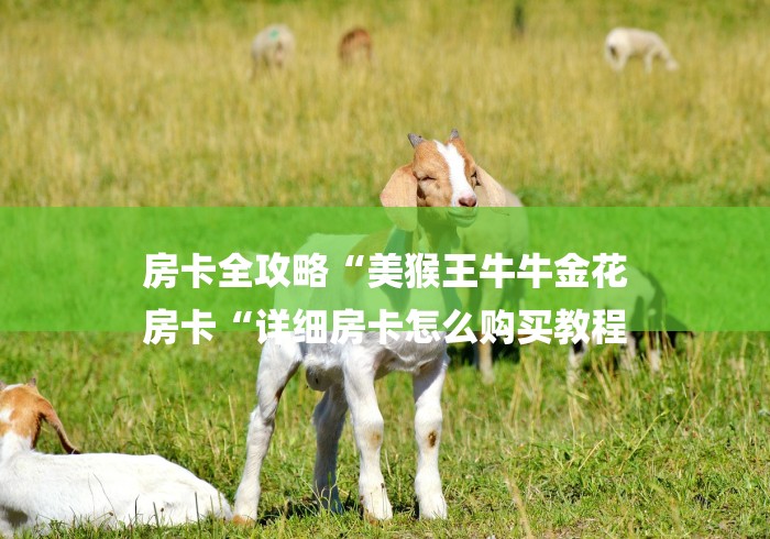 房卡全攻略“美猴王牛牛金花
房卡“详细房卡怎么购买教程 房卡全攻略“美猴王牛牛金花
房卡“详细房卡怎么购买教程