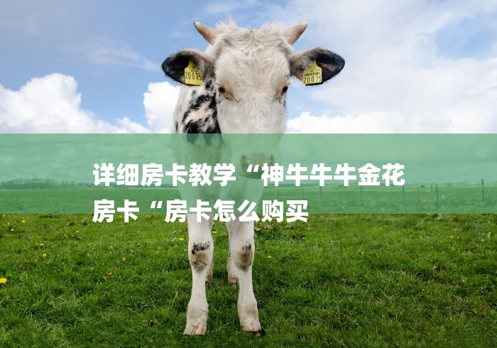 详细房卡教学“神牛牛牛金花
房卡“房卡怎么购买
