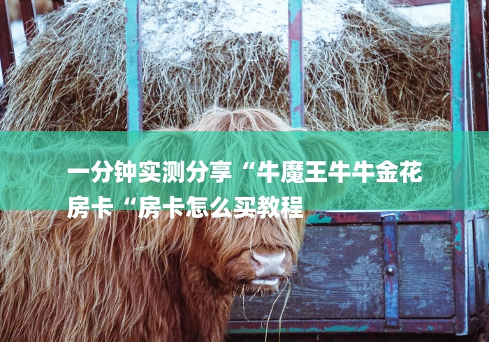 一分钟实测分享“牛魔王牛牛金花
房卡“房卡怎么买教程 一分钟实测分享“牛魔王牛牛金花
房卡“房卡怎么买教程