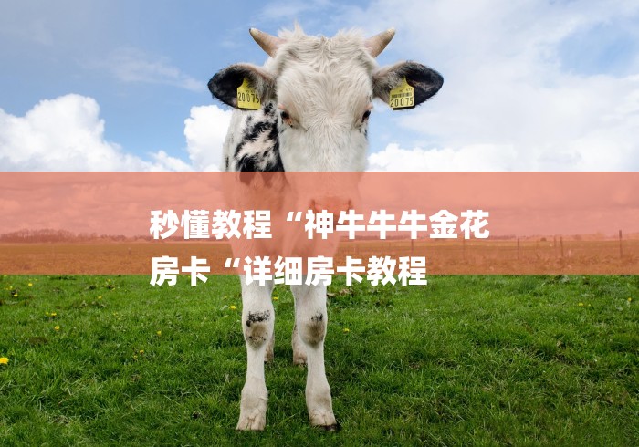 秒懂教程“神牛牛牛金花
房卡“详细房卡教程