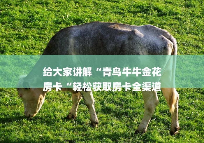 给大家讲解“青鸟牛牛金花
房卡“轻松获取房卡全渠道 给大家讲解“青鸟牛牛金花
房卡“轻松获取房卡全渠道