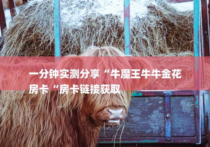 一分钟实测分享“牛魔王牛牛金花
房卡“房卡链接获取 一分钟实测分享“牛魔王牛牛金花
房卡“房卡链接获取