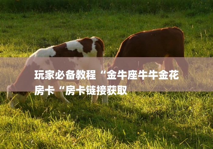 玩家必备教程“金牛座牛牛金花
房卡“房卡链接获取
