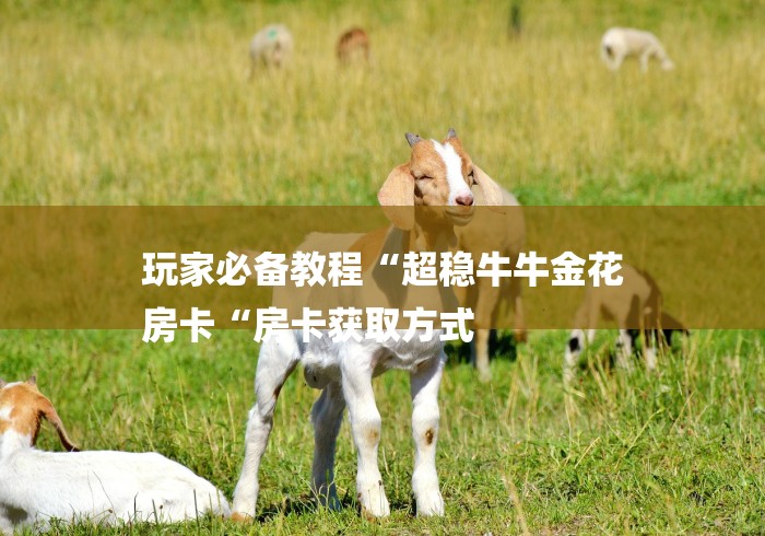 玩家必备教程“超稳牛牛金花
房卡“房卡获取方式 