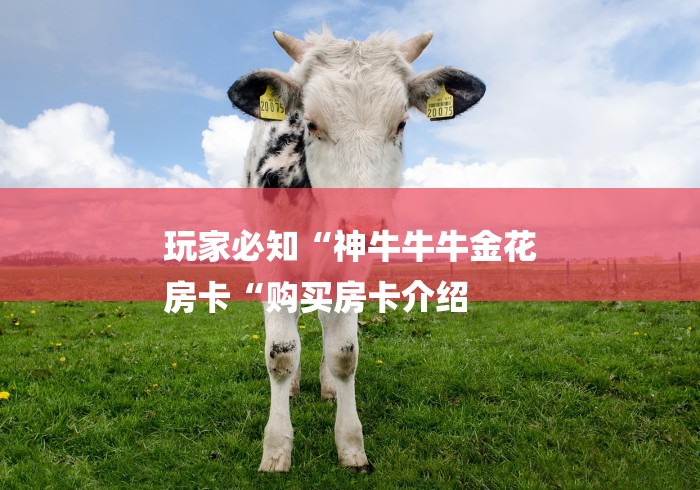 玩家必知“神牛牛牛金花
房卡“购买房卡介绍