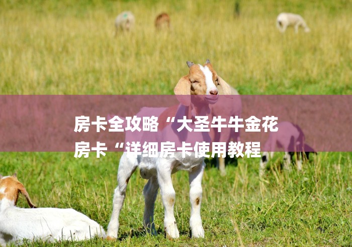 房卡全攻略“大圣牛牛金花
房卡“详细房卡使用教程 房卡全攻略“大圣牛牛金花
房卡“详细房卡使用教程