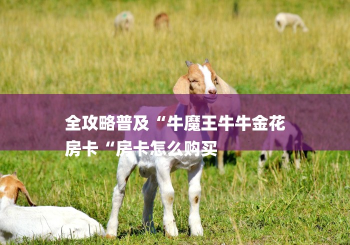 全攻略普及“牛魔王牛牛金花
房卡“房卡怎么购买