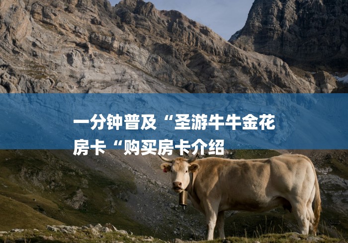 一分钟普及“圣游牛牛金花
房卡“购买房卡介绍