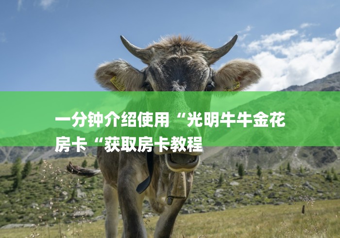 一分钟介绍使用“光明牛牛金花
房卡“获取房卡教程 一分钟介绍使用“光明牛牛金花
房卡“获取房卡教程