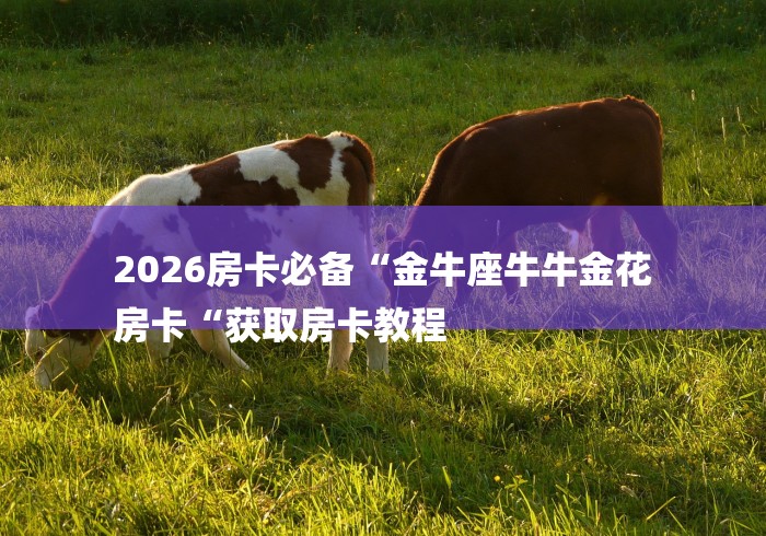 2026房卡必备“金牛座牛牛金花
房卡“获取房卡教程