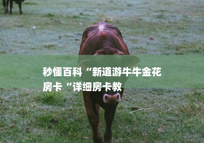 秒懂百科“新道游牛牛金花
房卡“详细房卡教