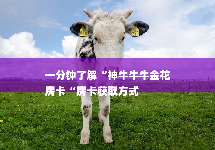 一分钟了解“神牛牛牛金花
房卡“房卡获取方式