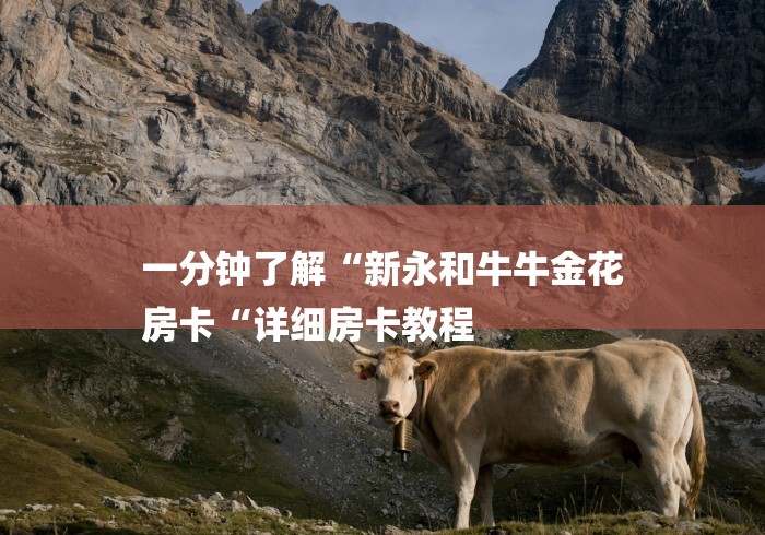 一分钟了解“新永和牛牛金花
房卡“详细房卡教程 一分钟了解“新永和牛牛金花
房卡“详细房卡教程