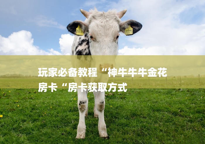 玩家必备教程“神牛牛牛金花
房卡“房卡获取方式 