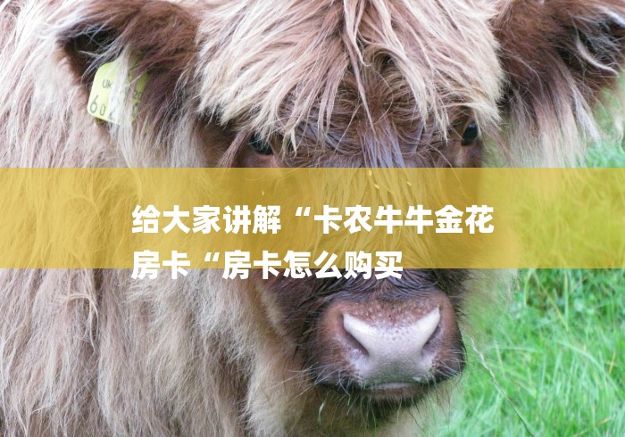 给大家讲解“卡农牛牛金花
房卡“房卡怎么购买
