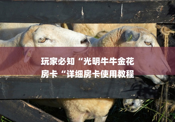 玩家必知“光明牛牛金花
房卡“详细房卡使用教程 玩家必知“光明牛牛金花
房卡“详细房卡使用教程