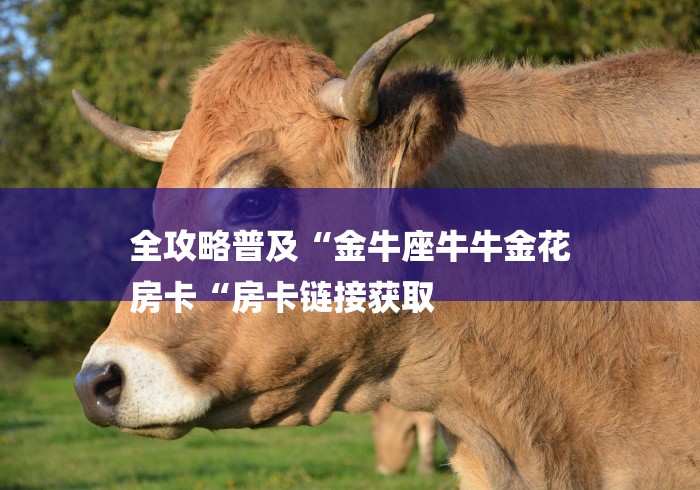 全攻略普及“金牛座牛牛金花
房卡“房卡链接获取