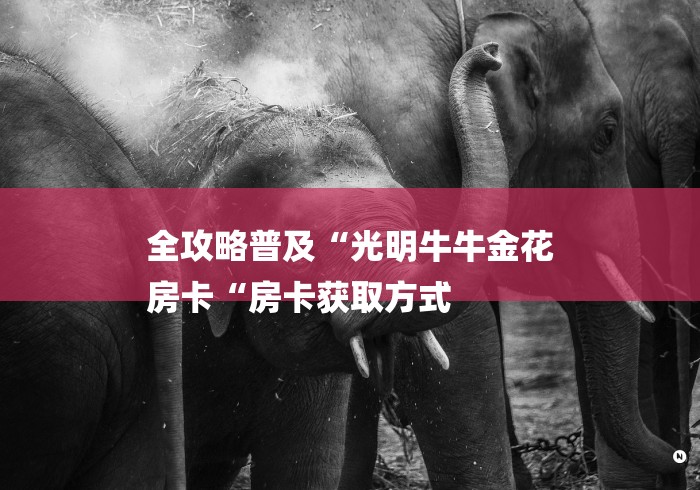 全攻略普及“光明牛牛金花
房卡“房卡获取方式