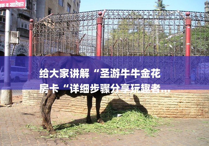 给大家讲解“圣游牛牛金花
房卡“详细步骤分享玩趣者... 给大家讲解“圣游牛牛金花
房卡“详细步骤分享玩趣者...