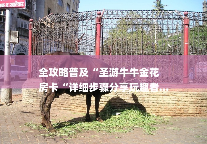 全攻略普及“圣游牛牛金花
房卡“详细步骤分享玩趣者...