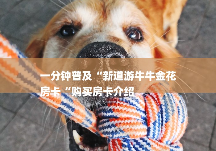 一分钟普及“新道游牛牛金花
房卡“购买房卡介绍