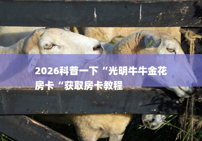 2026科普一下“光明牛牛金花
房卡“获取房卡教程 2026科普一下“光明牛牛金花
房卡“获取房卡教程